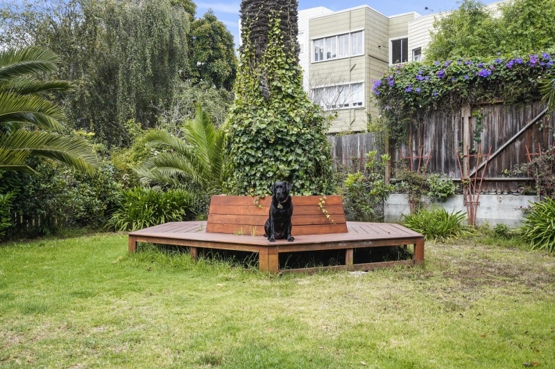 Mr. Raffi enjoys the sun in 1932 Fell's quiet shard backyard. There's a bench, grass, large palm tree and, of course, the Morning Glory flowers.