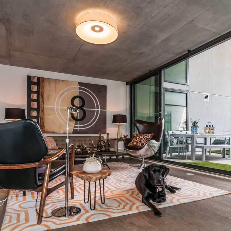 raf_living2 raf_living2