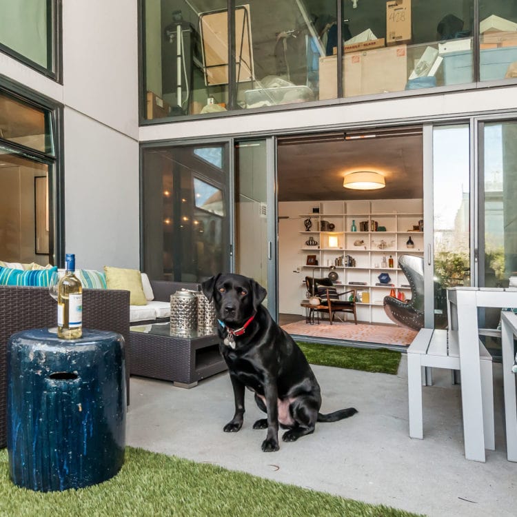 raf_terrace raf_terrace