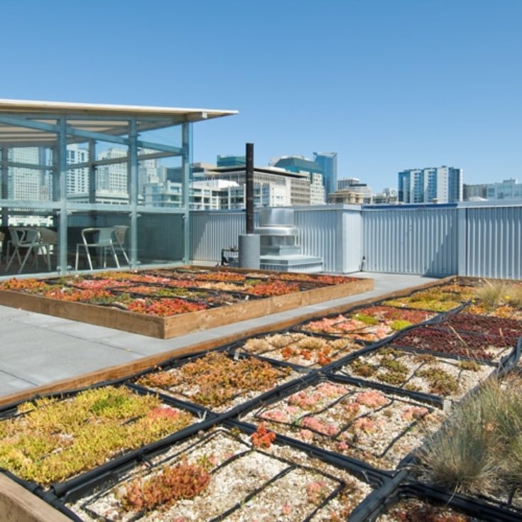 roof garden