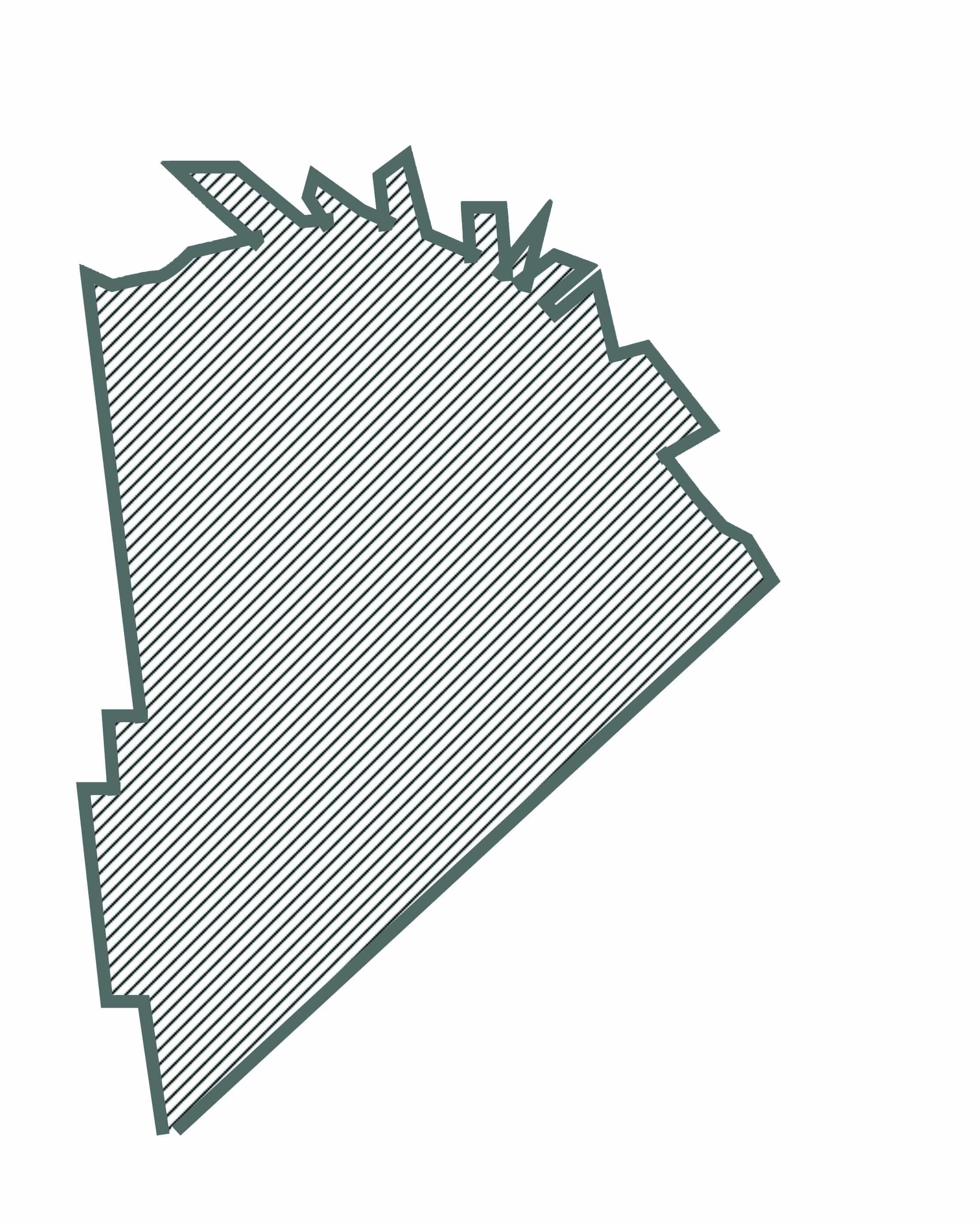 MLS District 8 Outline