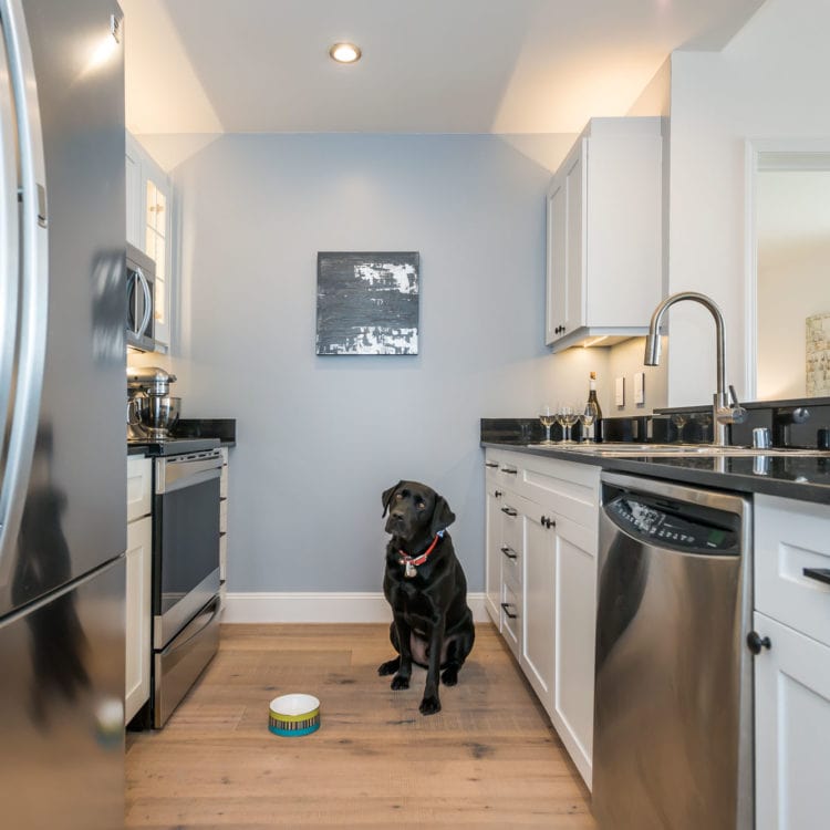 140 SVN 1022 - Kitchen Raffi 140 SVN 1022 - Kitchen Raffi