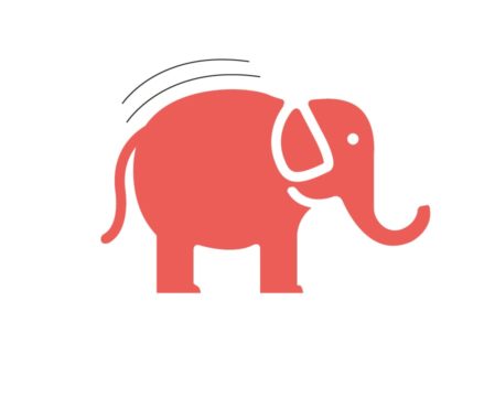 An elephant