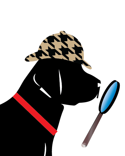 Raffi Sherlock Hat