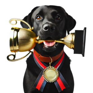Image of Black Labrador Retriever with Trophy in Mouth and Medal Around neck with K+J logo emblazoned on medal face