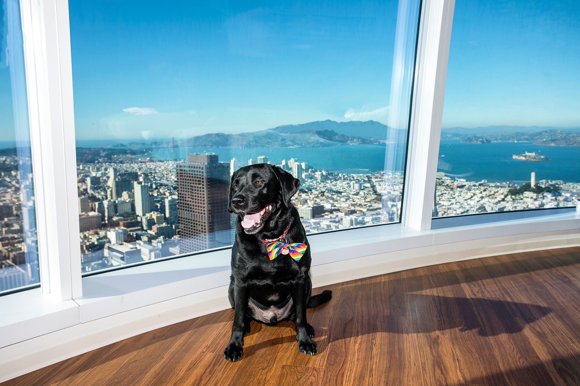 Up on top in the Salesforce tower