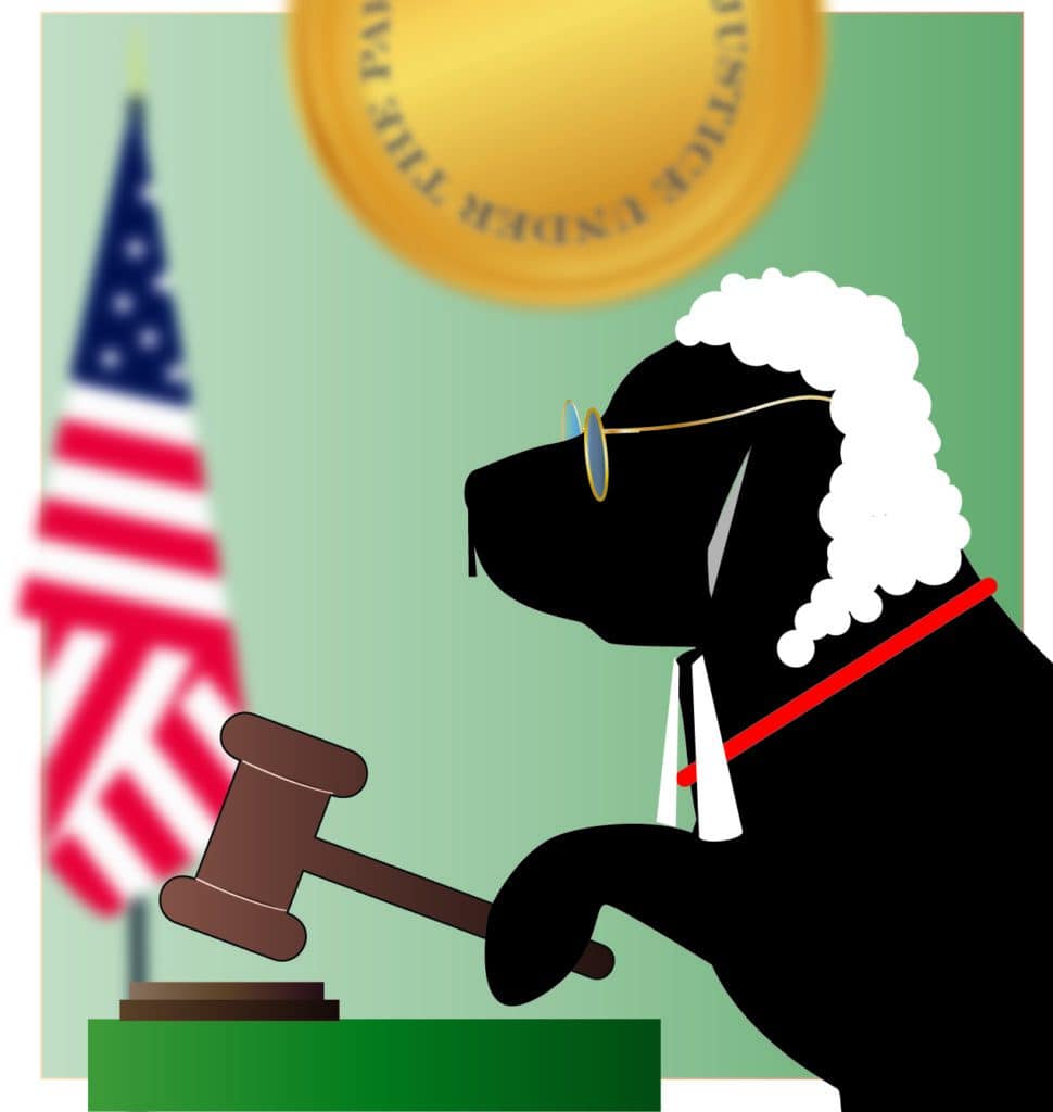 Raffi as Judge His Honor Raffi