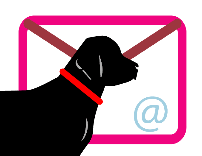 Raffi Email@2x Email us to talk to Raffi