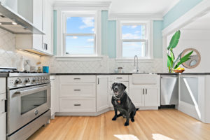 mr raffi, the black labrador retriever in the kitchen in front of the farmhouse sink