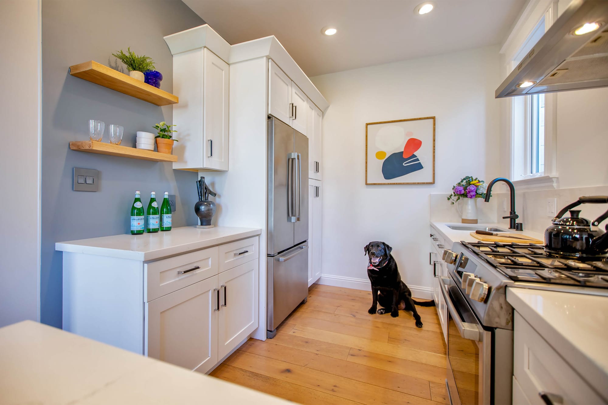 Mr. Raffi, our black Labrador retriever, in 814 Carolina's kitchen waiting for a treat. 