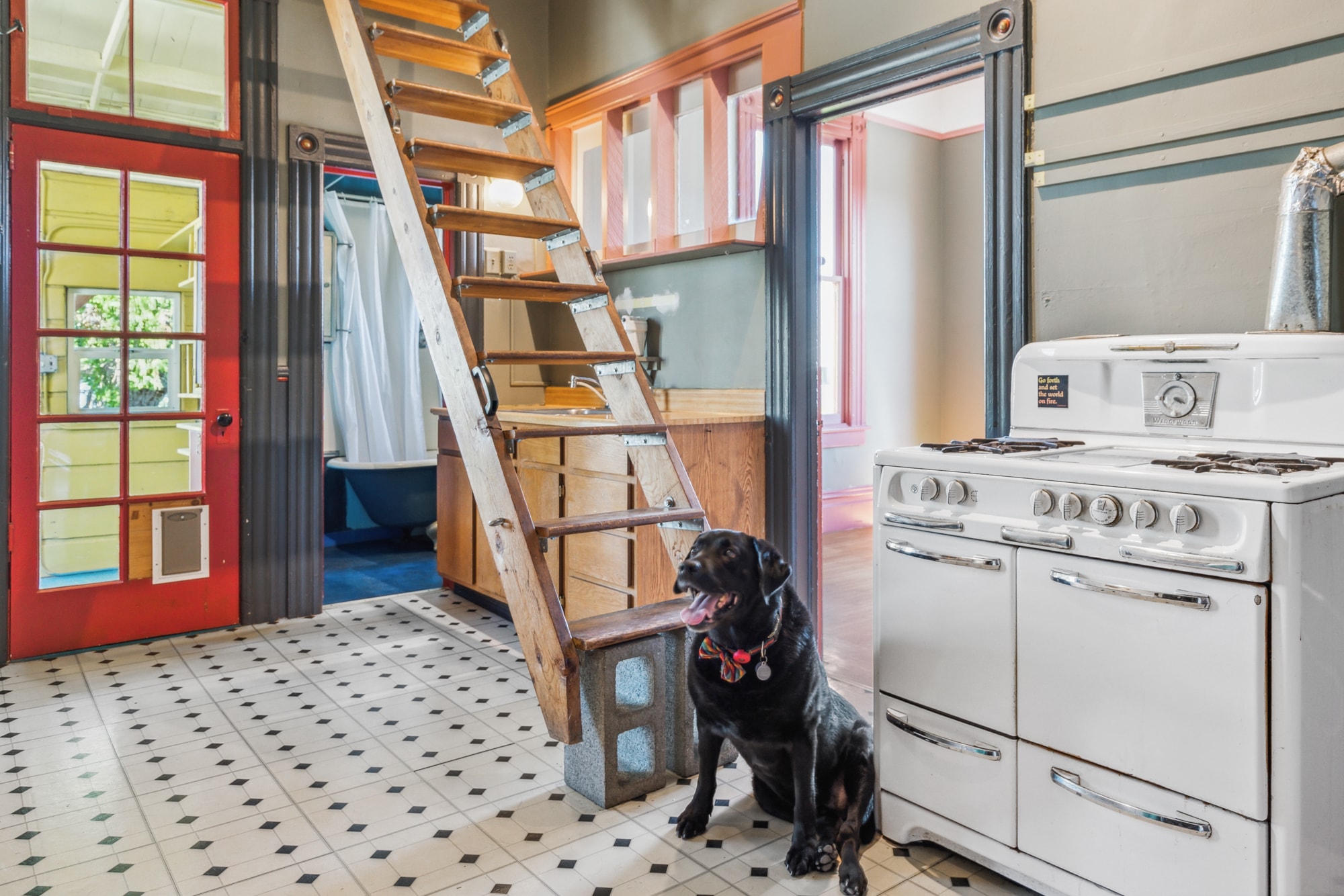 Photo of the upper uint kitchen with a wedgewood stove and Mr Raffi the dog at 2621 Bryant