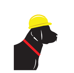 Raffi the dog in a construction helmet illustration