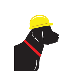 raffi hardhat Raffi the dog in a construction helmet illustration