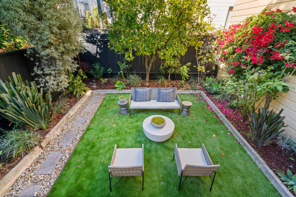 The backyard