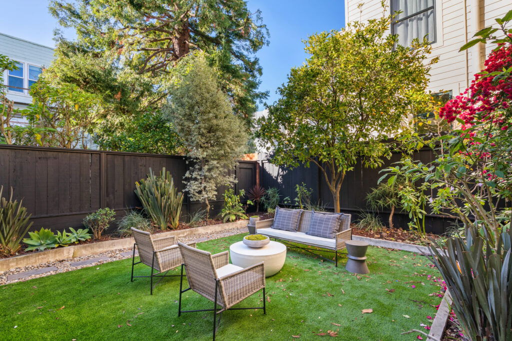 The backyard