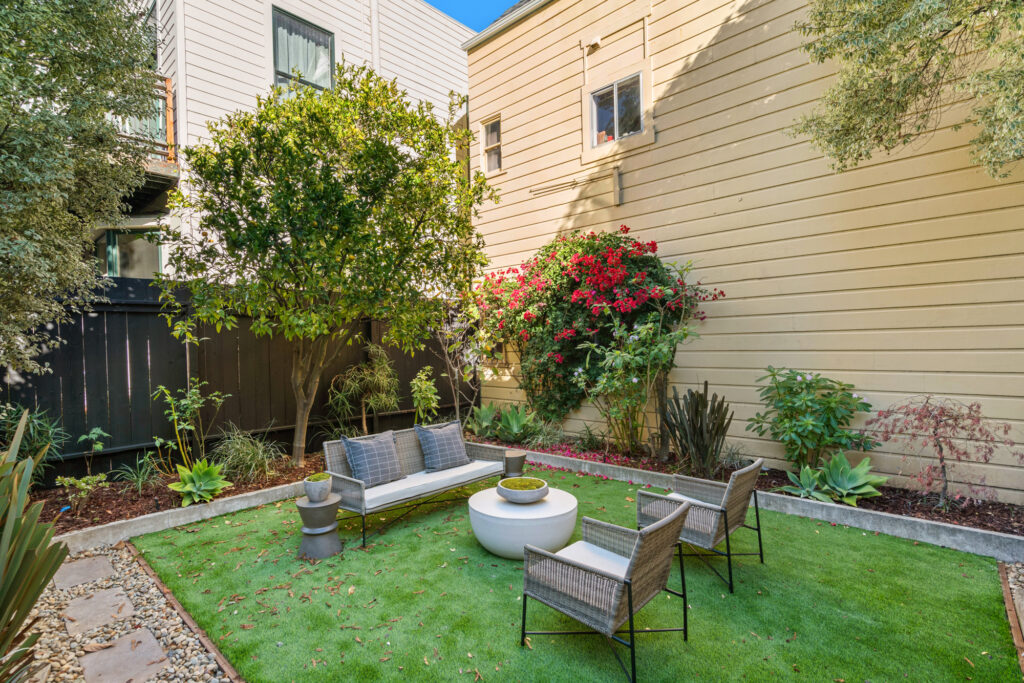 The back garden
