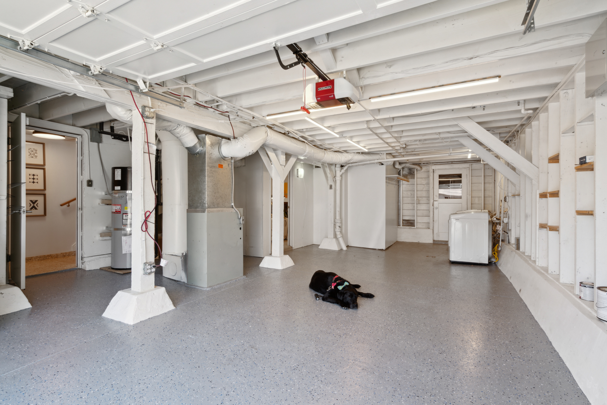 A black labrador lays down in the garage at 927 Dwight