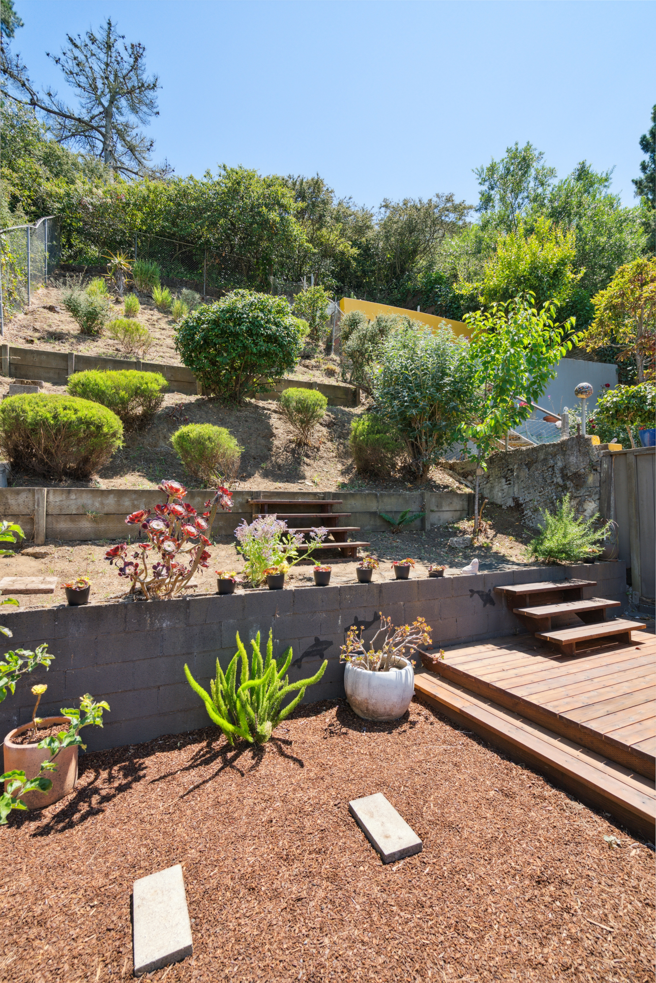 A terraced back garden