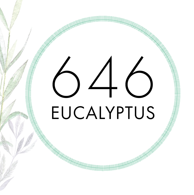 646 Eucalyptus