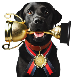 24 - Raffi - Trophy@2x Black Lab with Trophy in Mouth